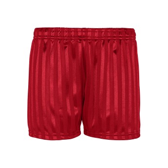 Innovation shadow Stripe P.E Shorts