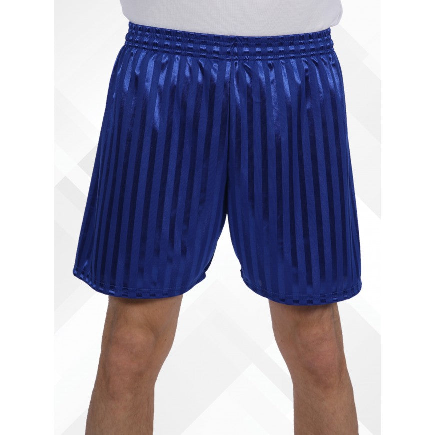 Innovation shadow Stripe P.E Shorts